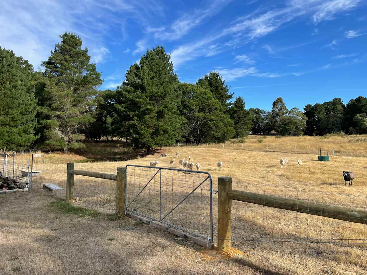 Access gate to site