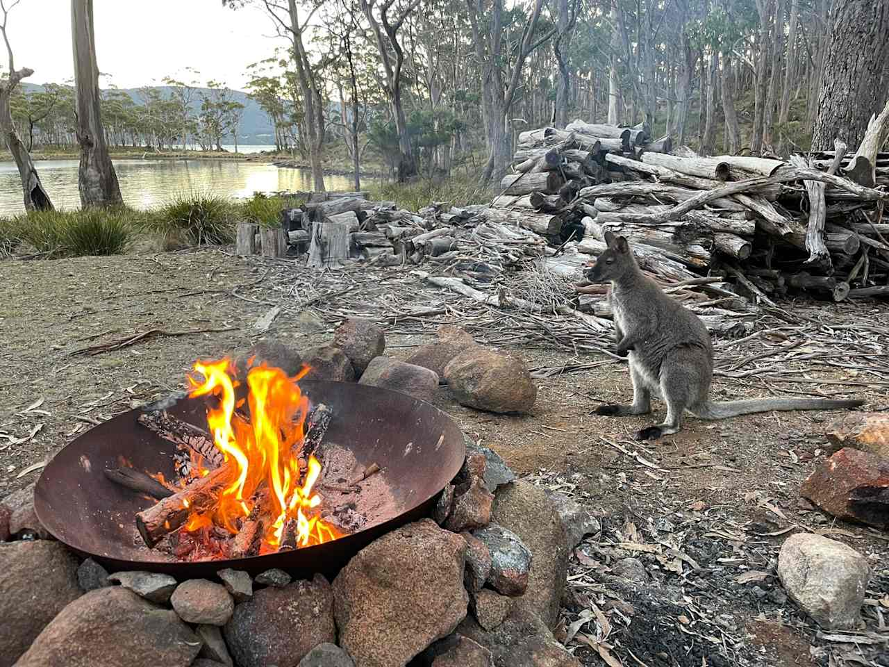 Heron Cove, Bruny Island