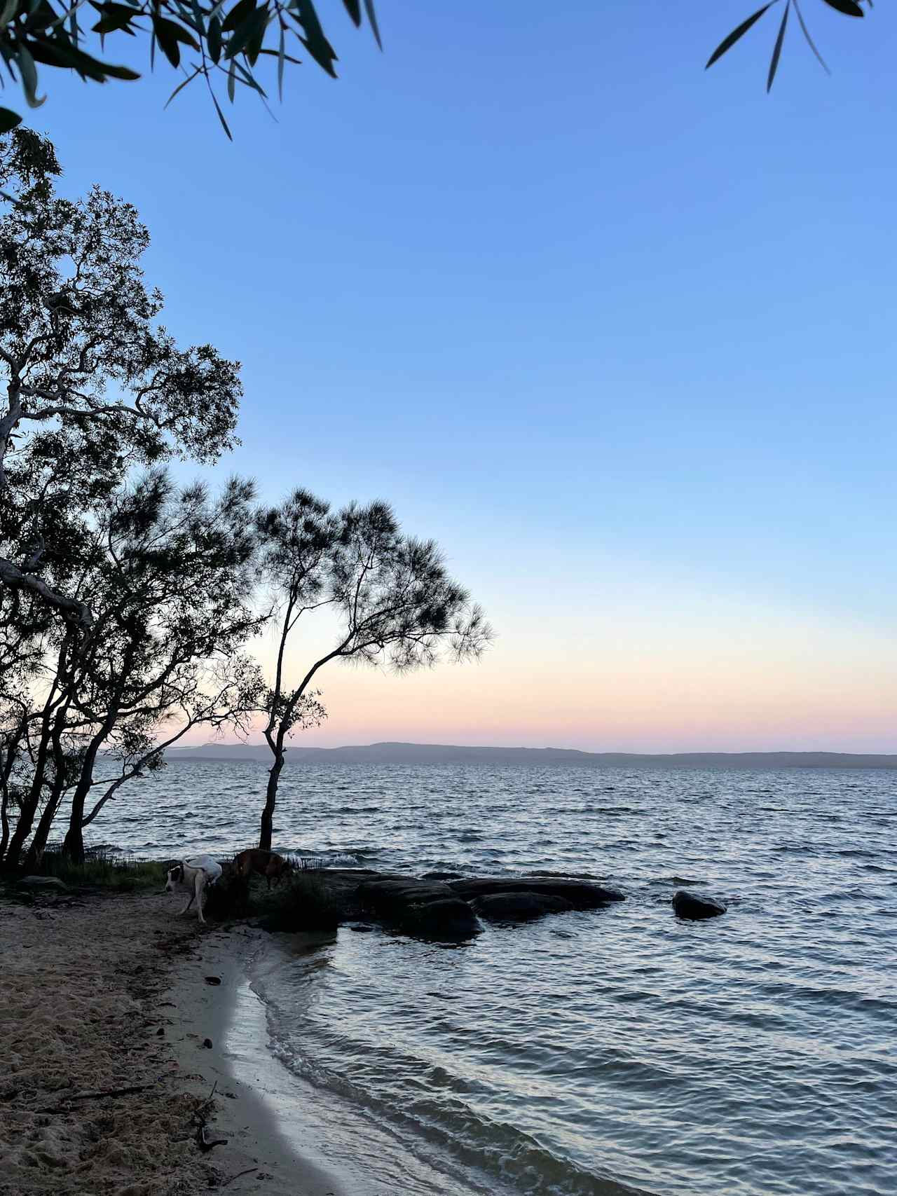 Boho Wilderness Noosa Farm Lake