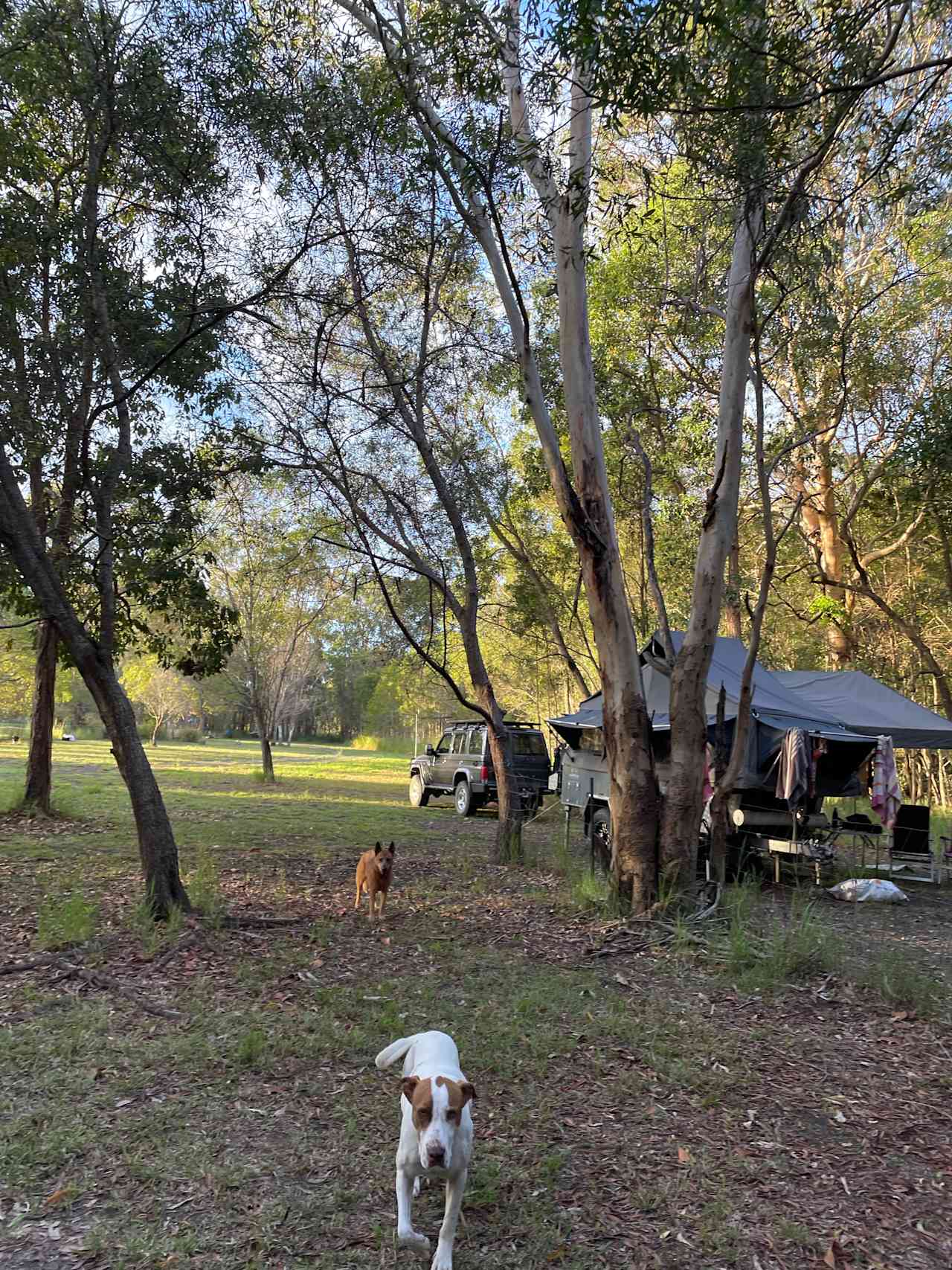 Boho Wilderness Noosa Farm Lake