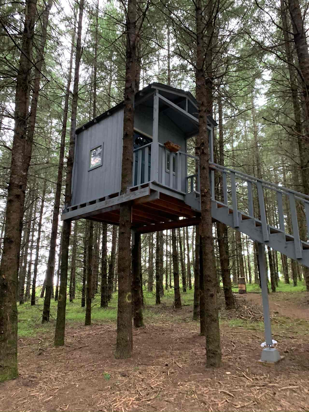 Treehouse 