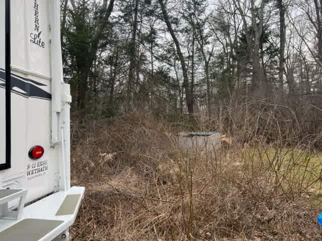 Patti's Beaver Pond