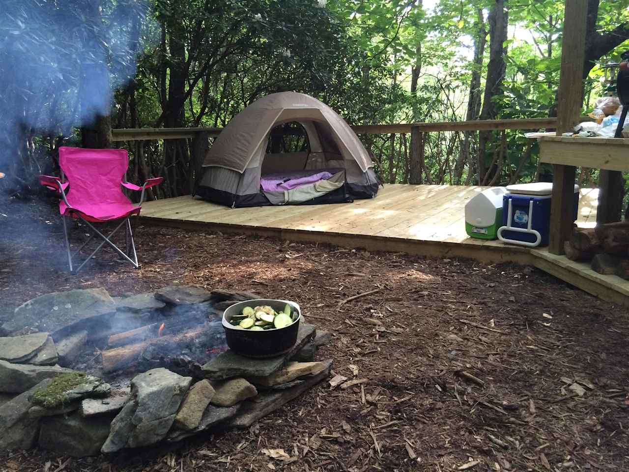 Blue Bear Mountain Camp