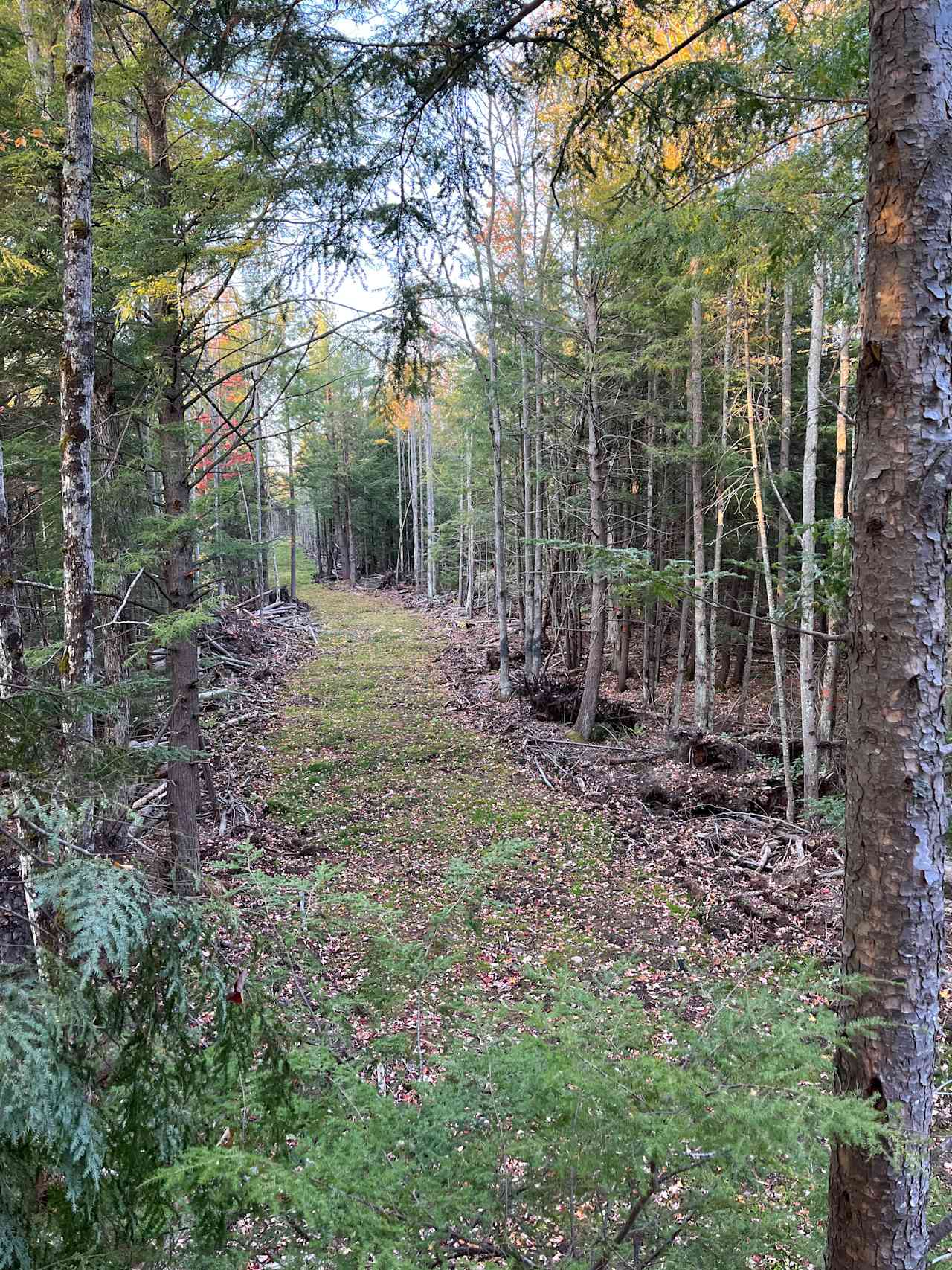 Superior wayside rustic road tent