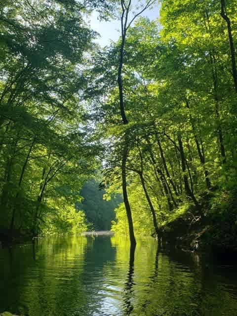 Cool off in the coves