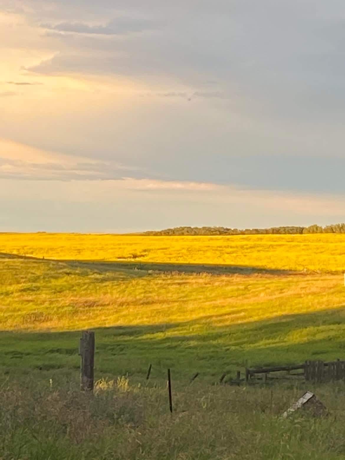 Hibbs Family Homestead