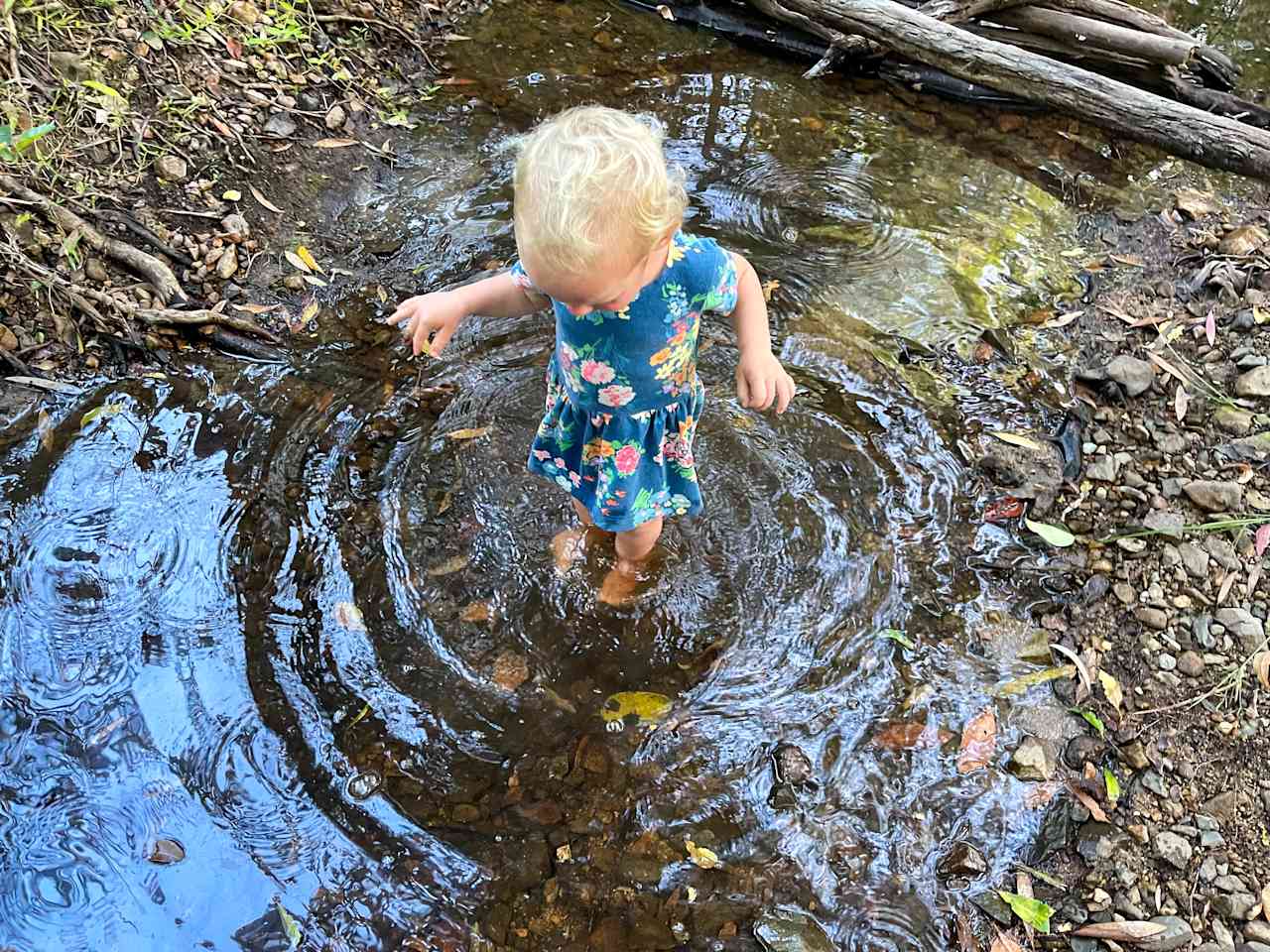 The creek is great for a little paddle! 