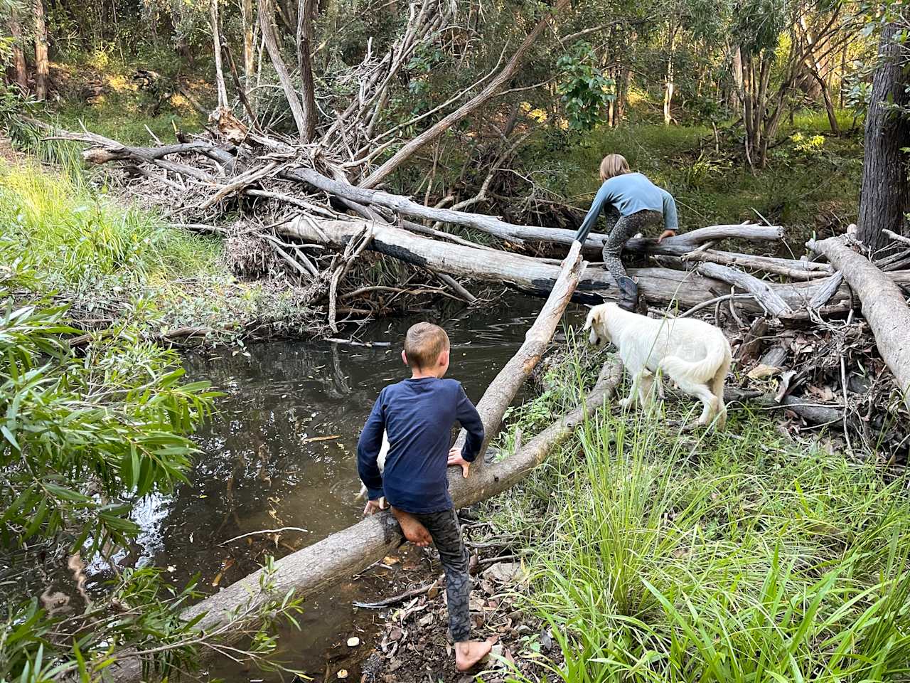 Plenty to explore down by the water hole and shallow creek 