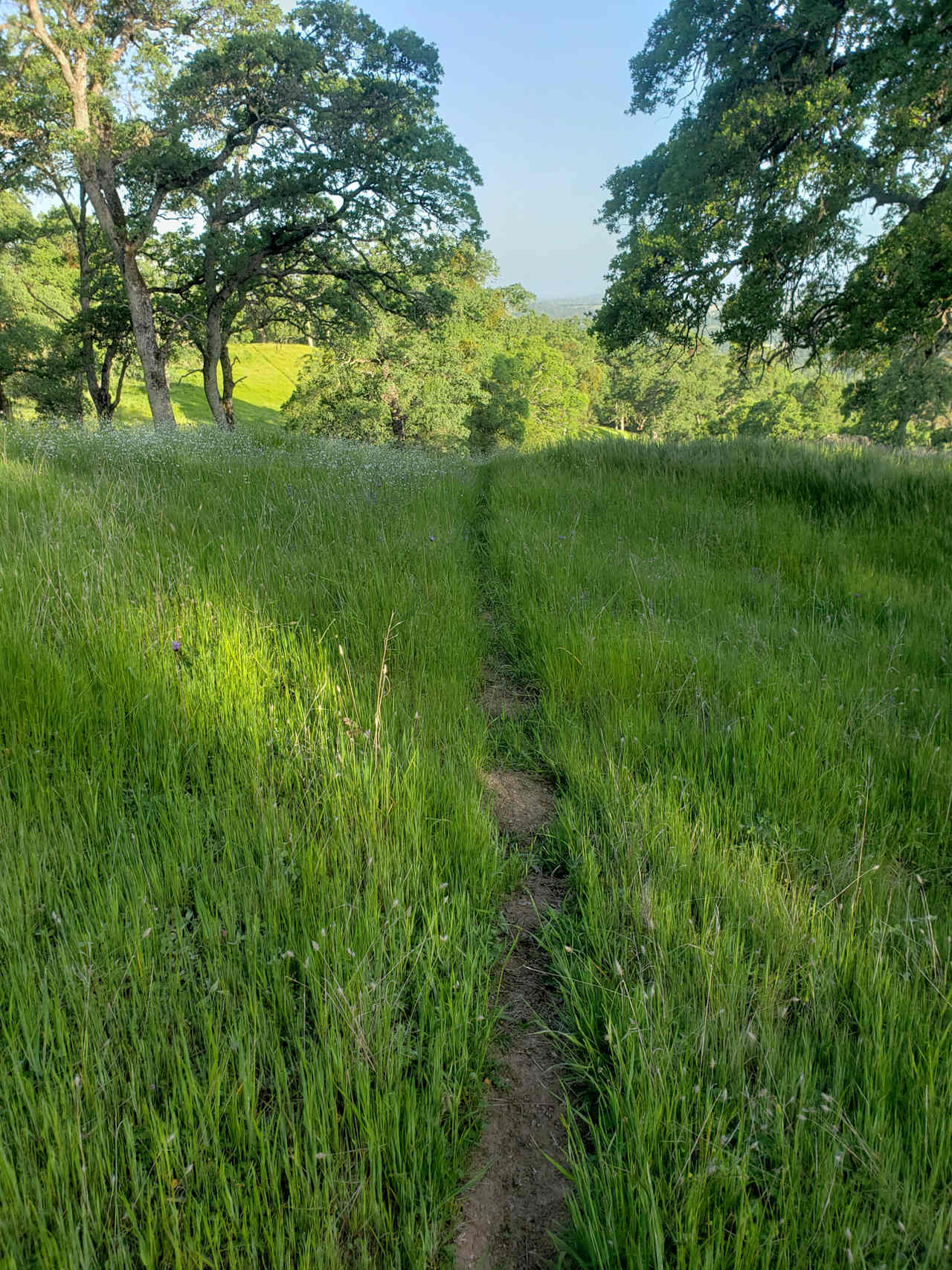 Roots and Wings Ranch