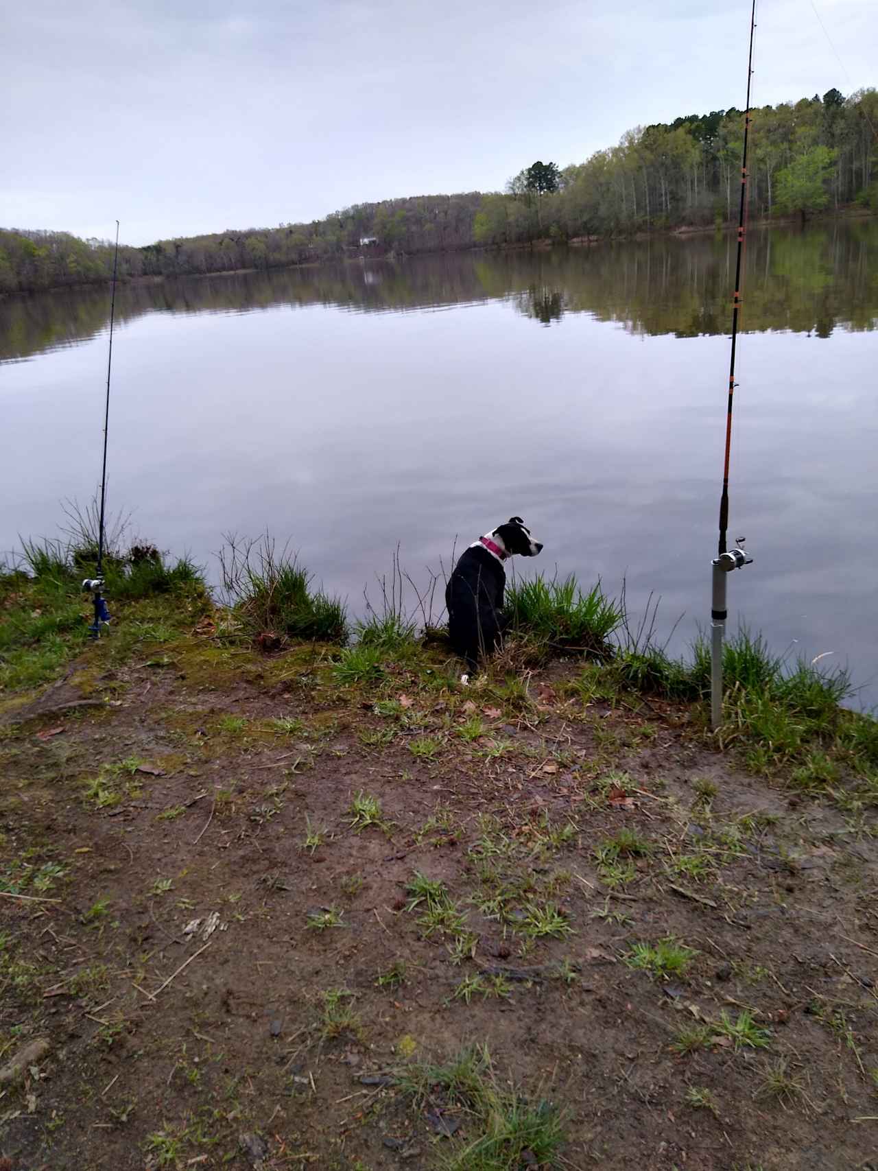 Lev at Little Lake