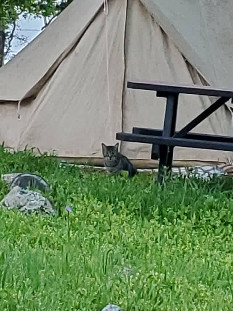 Moscow would not leave the tent area