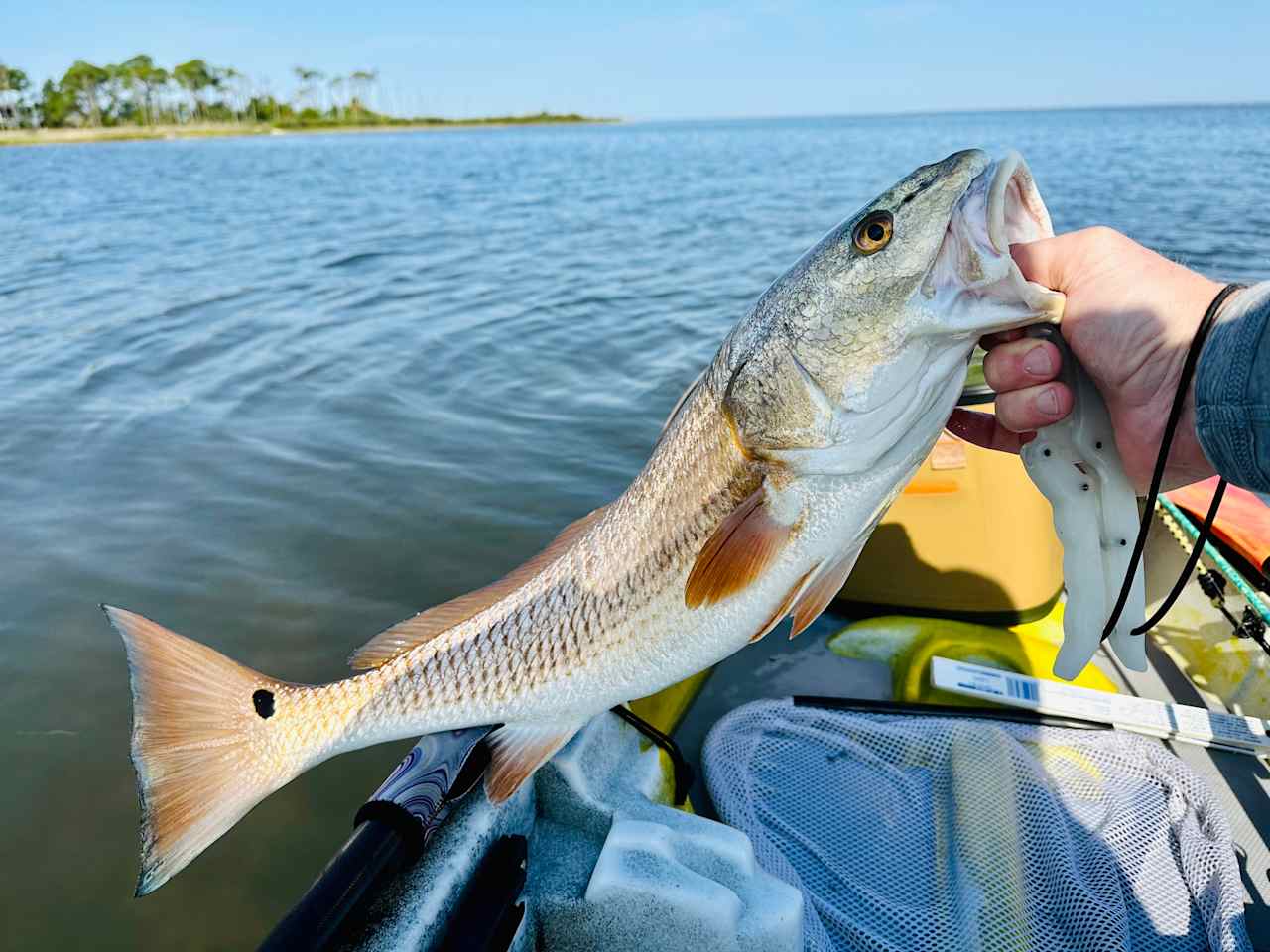 Excellent fishing!