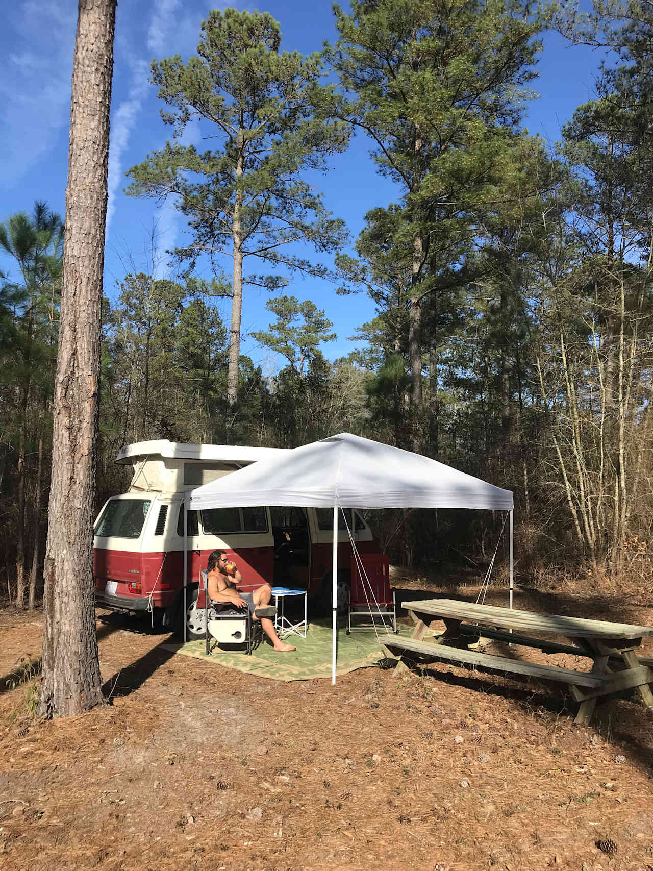 Charlotte's Whispering Pine Farm