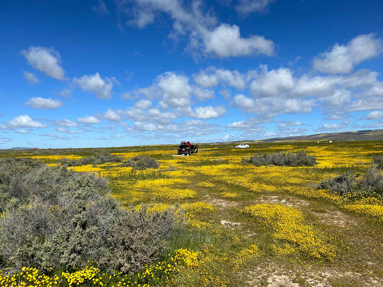 Carrizo National