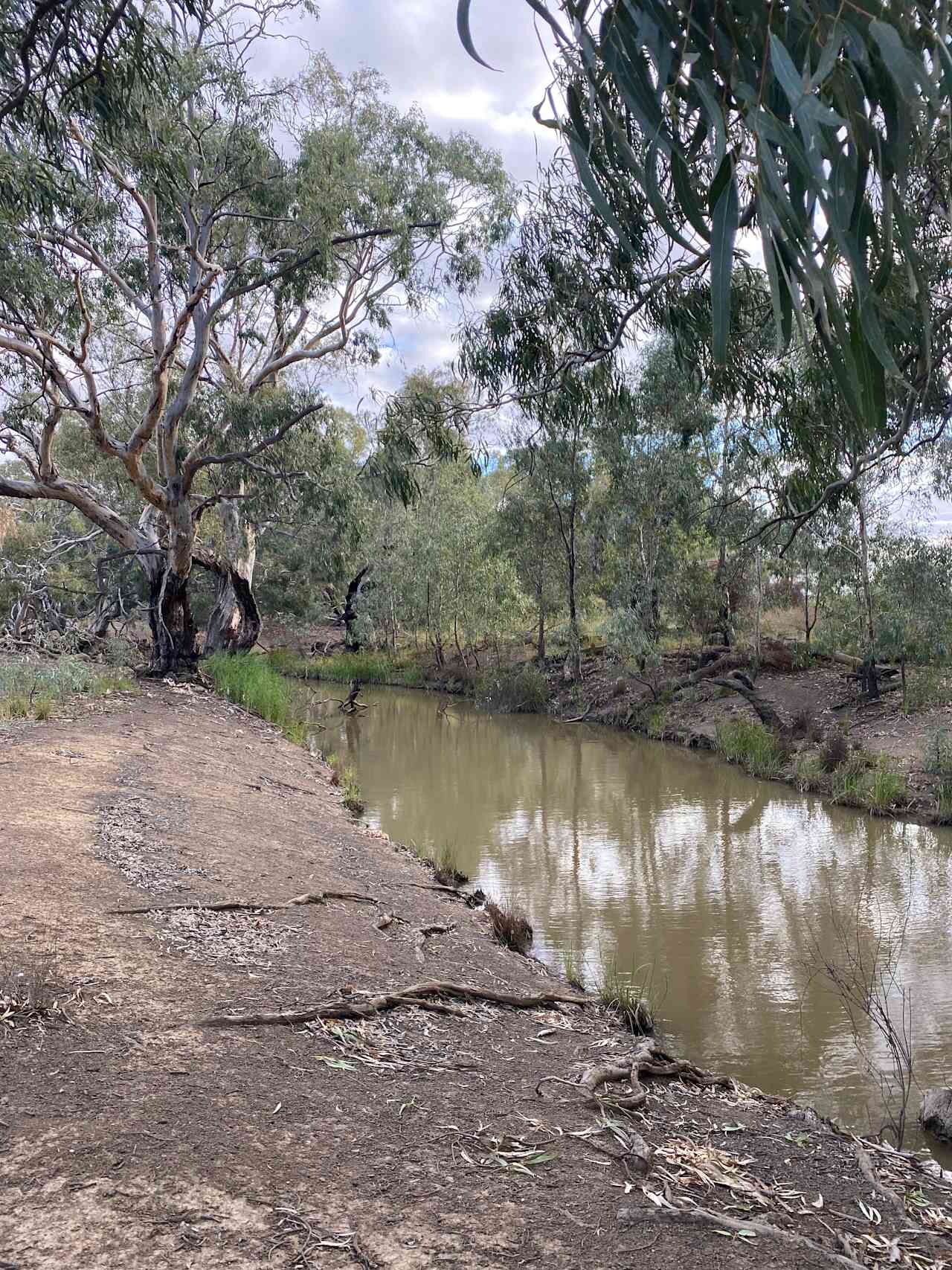 Secluded Riverside  Canary Island