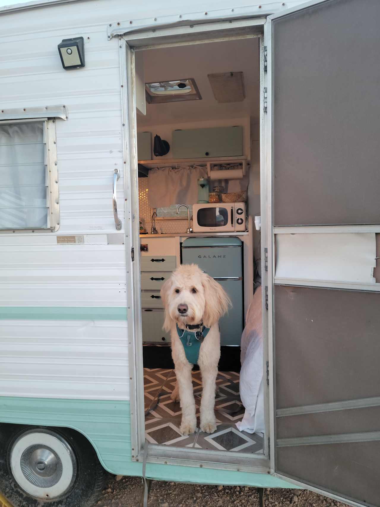 Retro Camper with Mountain Views