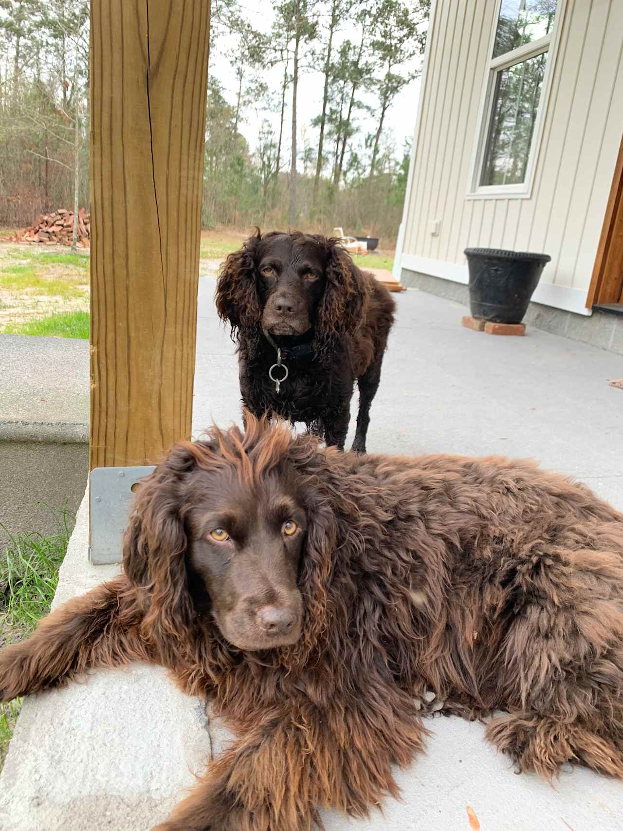 Charlotte's Whispering Pine Farm