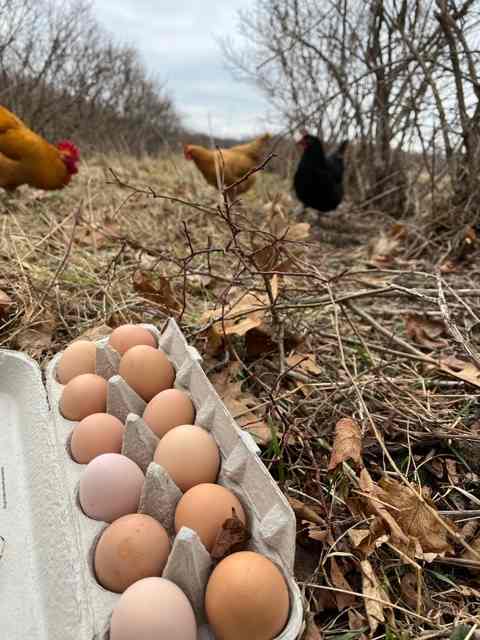 Vinland Farms