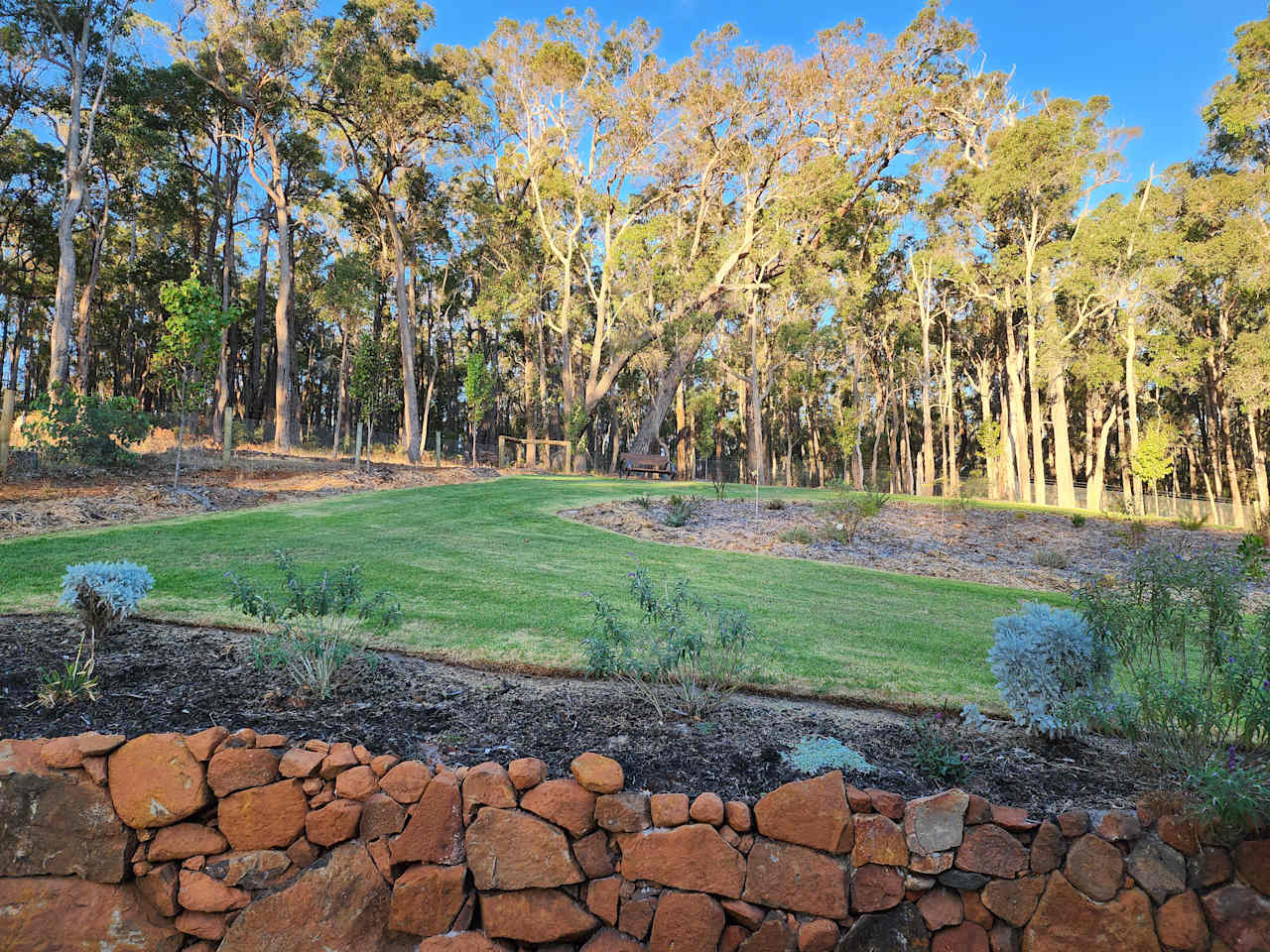 View from the back deck looking at the forest.