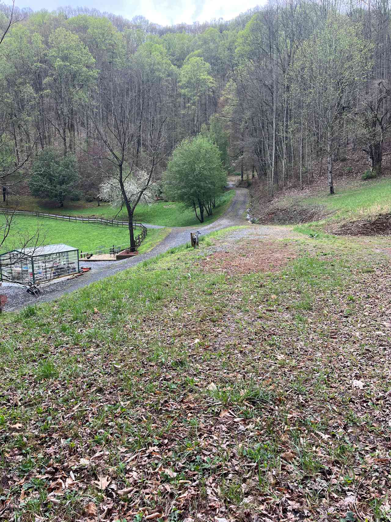 The Cove at Dick Branch