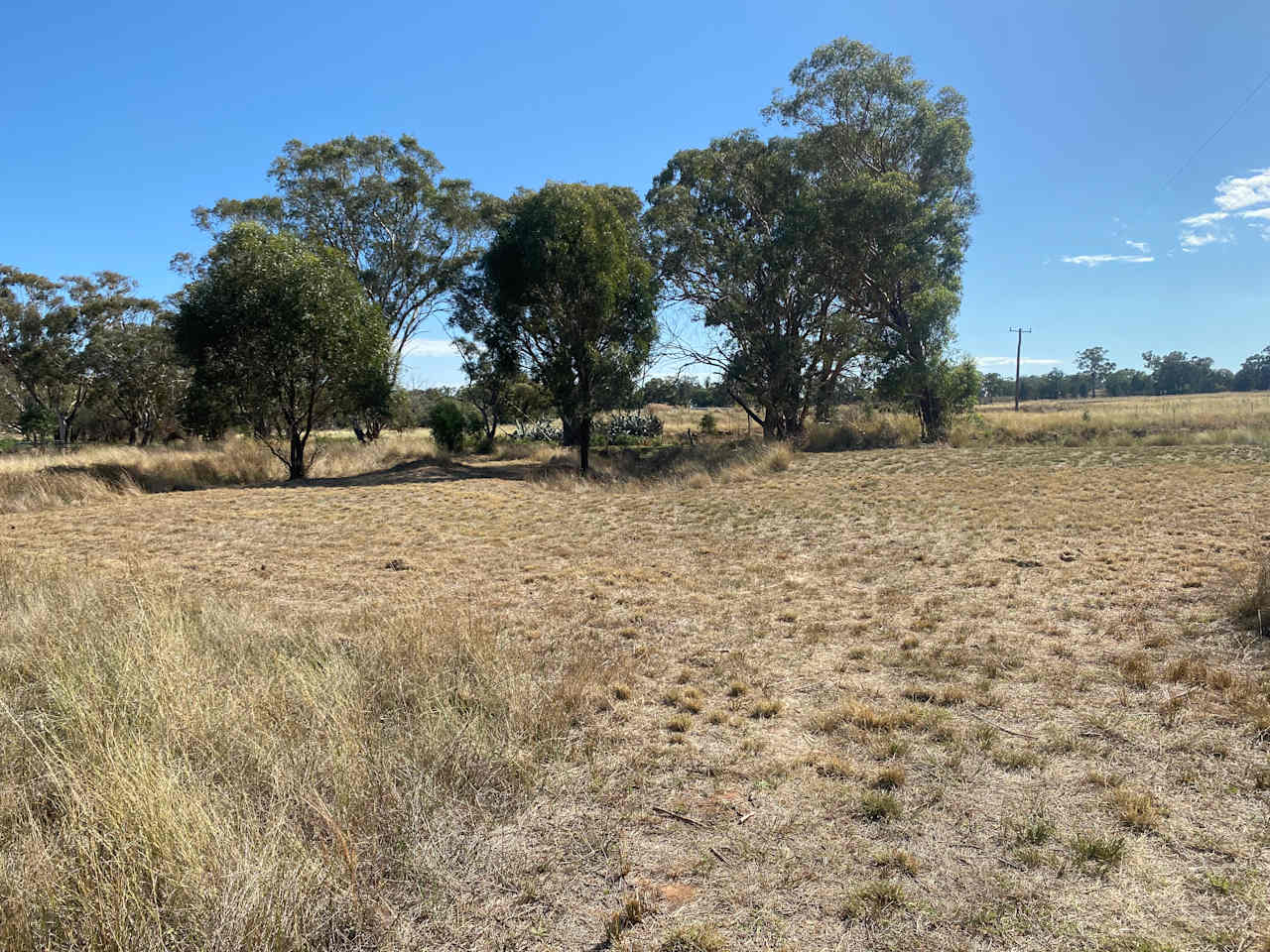 Site 4