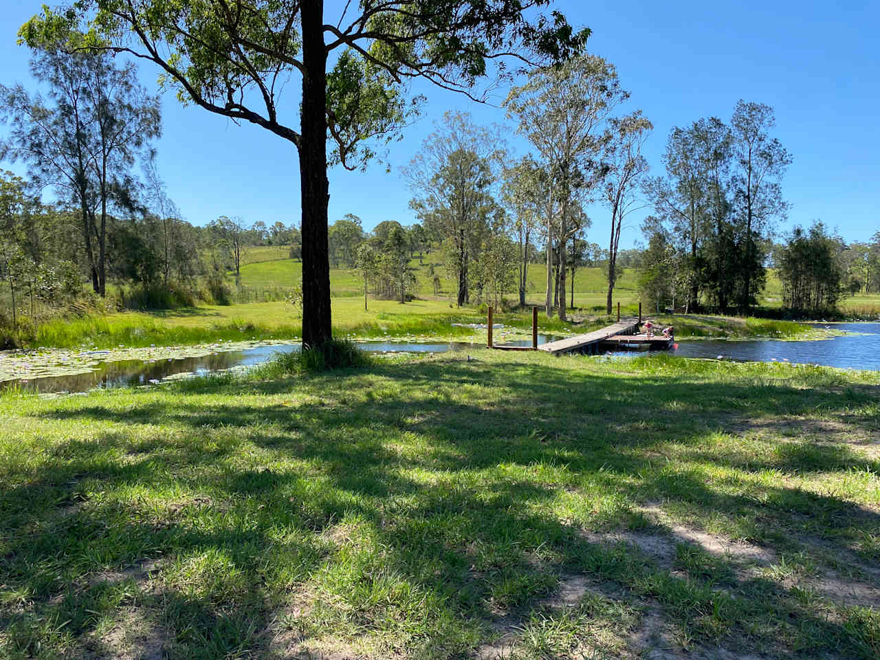  View from picnic area @ Lily Dam