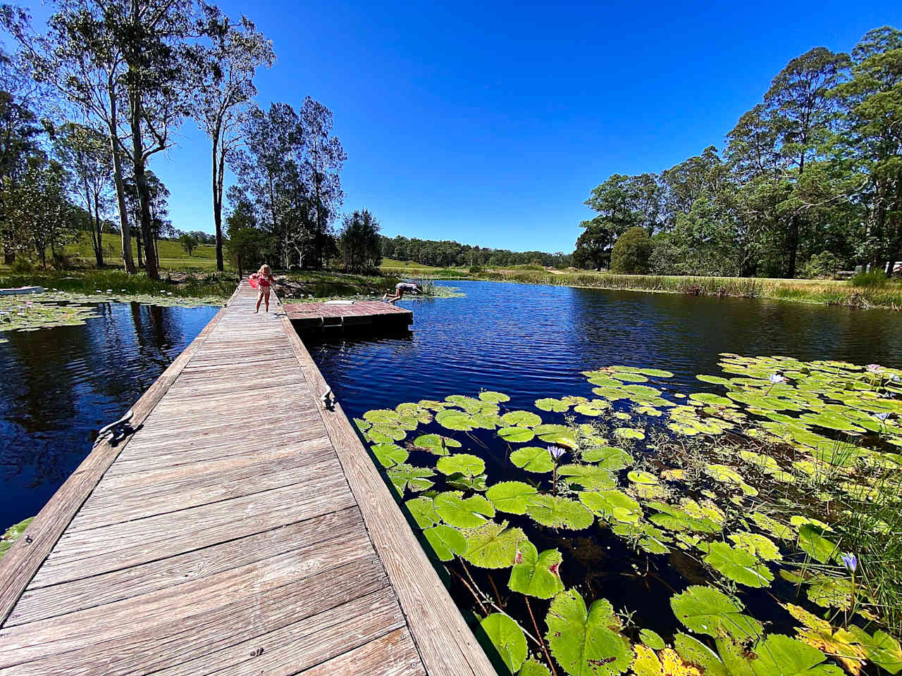 Lily Dam Foot bridge/pontoon