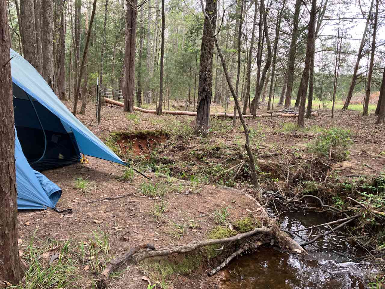 Camp in Camp Hill!