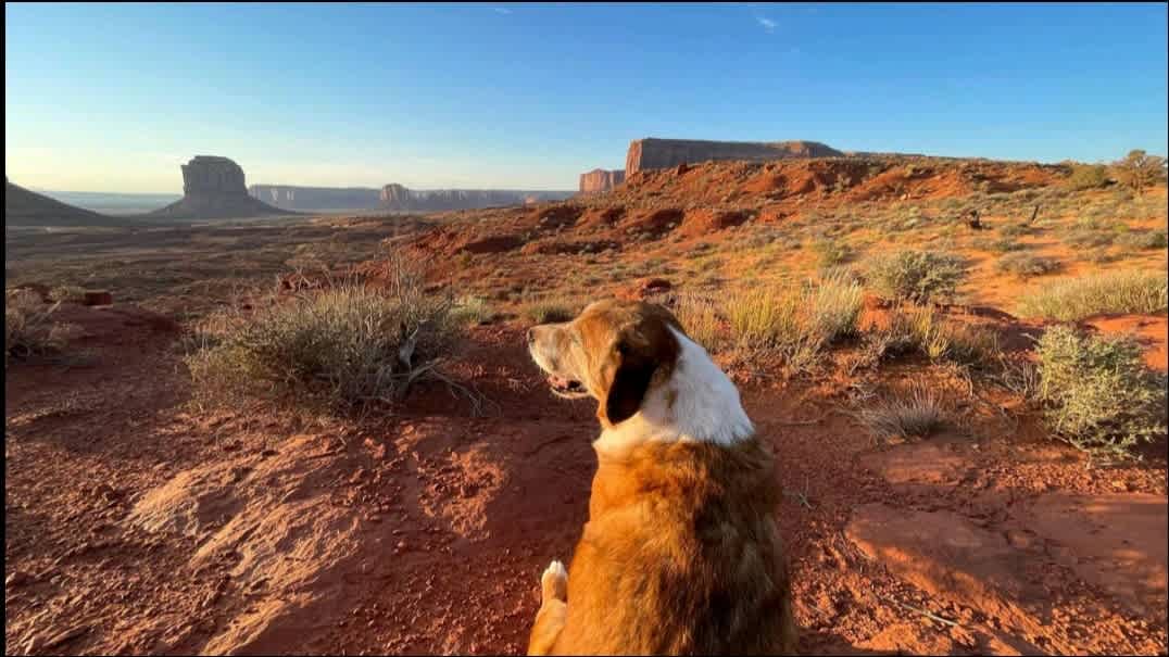 Sunrise camping