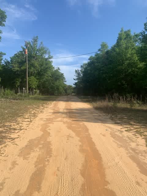 Palmetto Haven