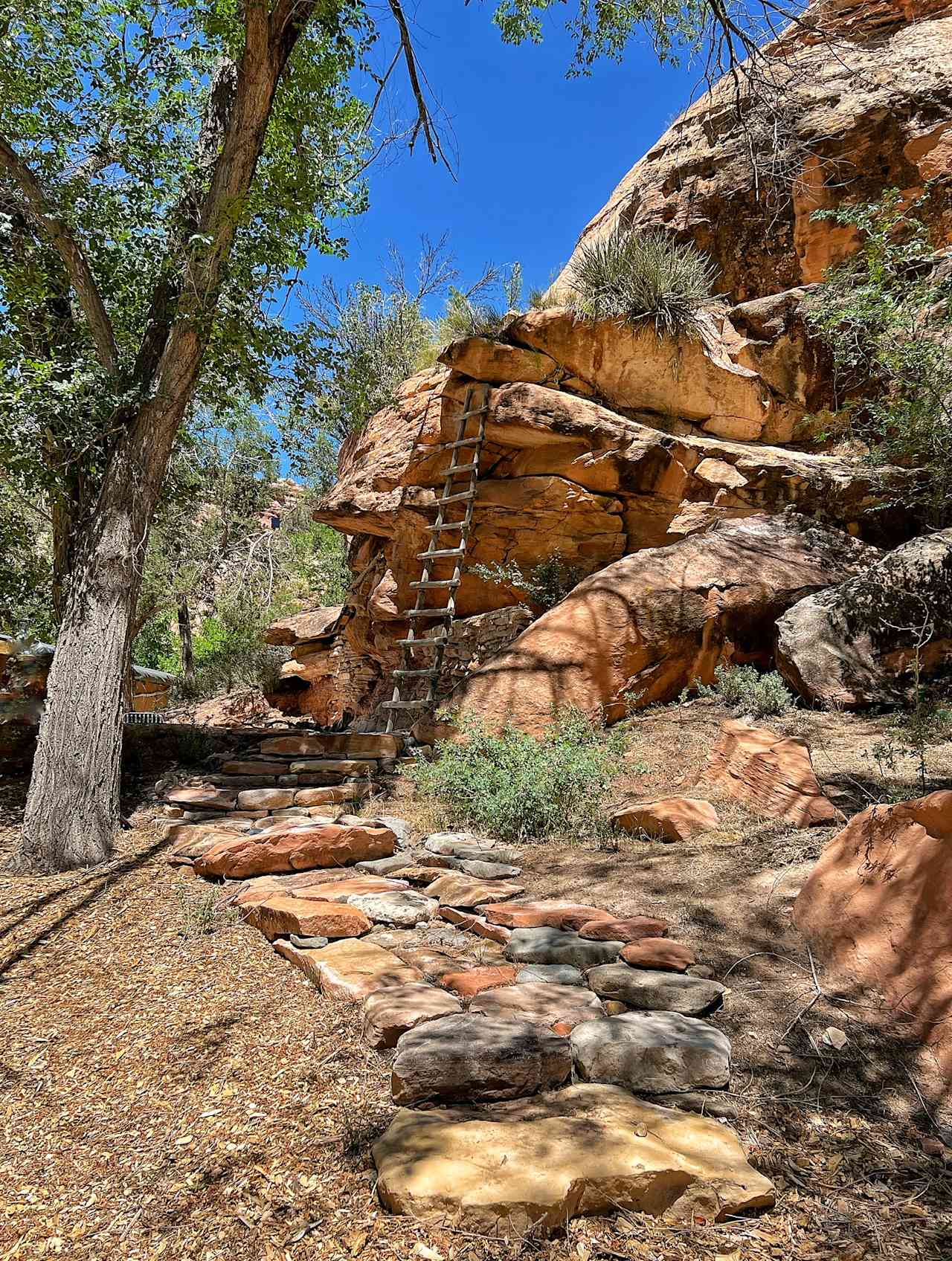 Red rock path, crafted by Rush, our rock artisan friend from Durango with help from Georgia (our tractor) and lots of willing hands.