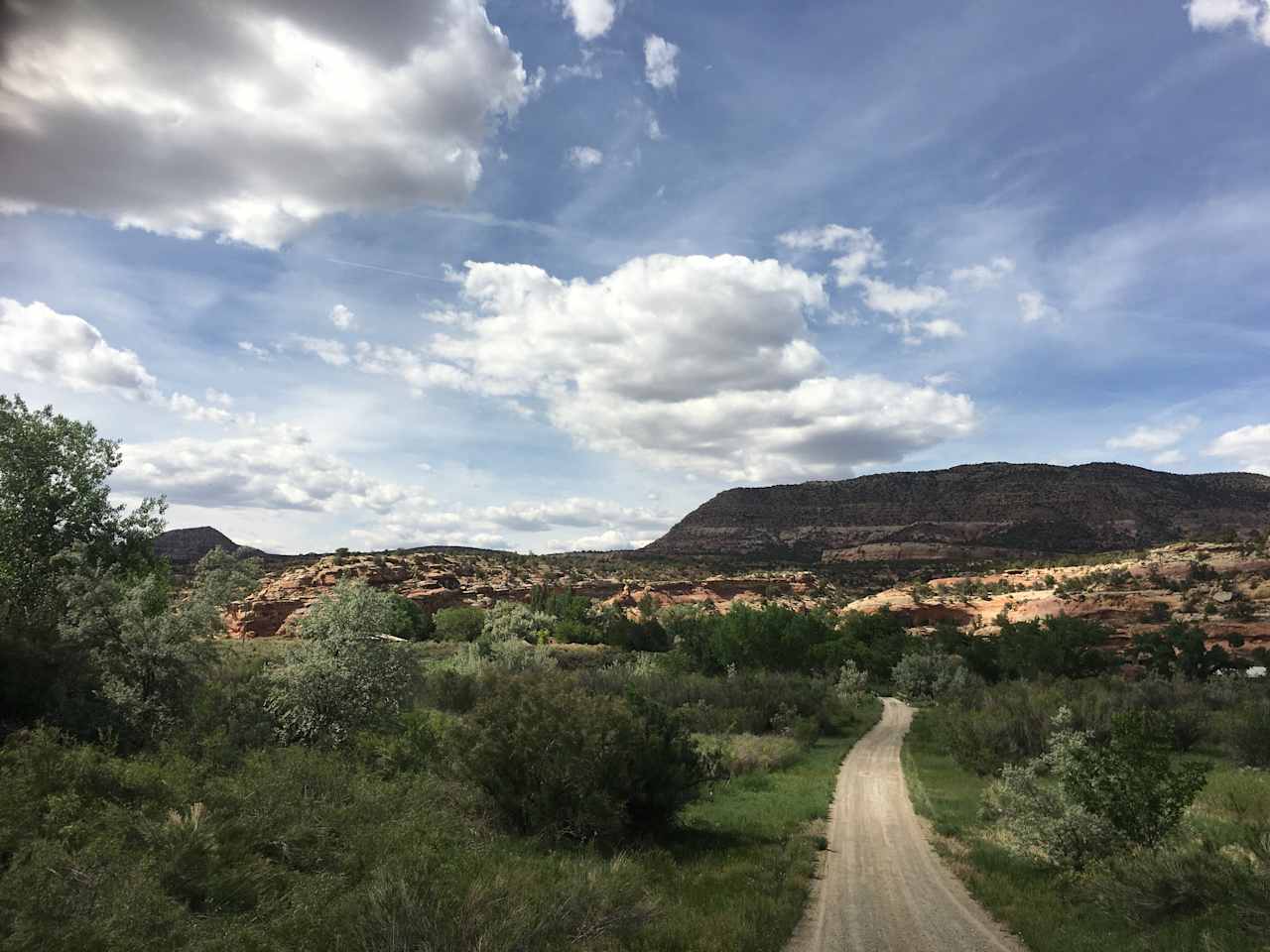 The driveway to Ancient Echoes affords you a view of the red rocks and mesas inside the Canyons of the Ancients National Monument, directly behind us.