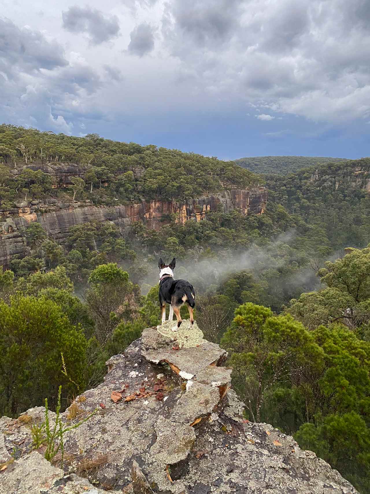 Joadja Gorge Retreat & Camping