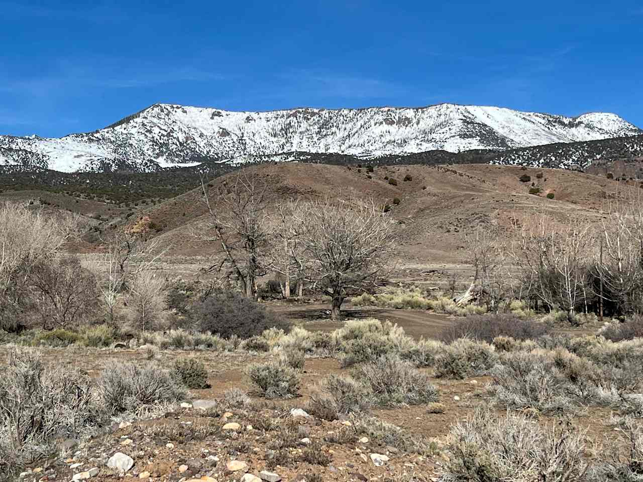 Manning Creek Campground Paiute ATV