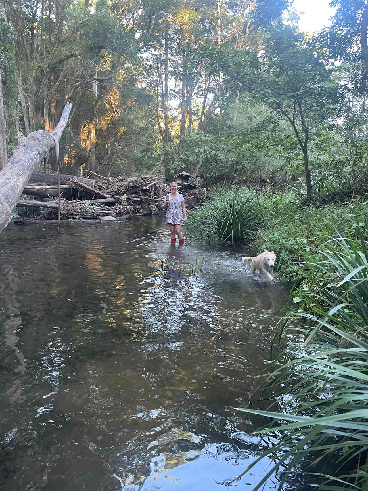 Bonvarly Creekfront