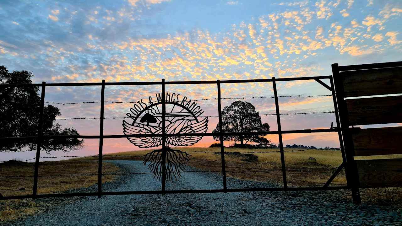 Roots and Wings Ranch