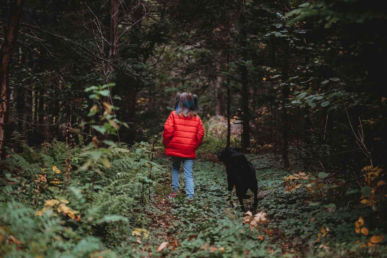 One of the walking trails