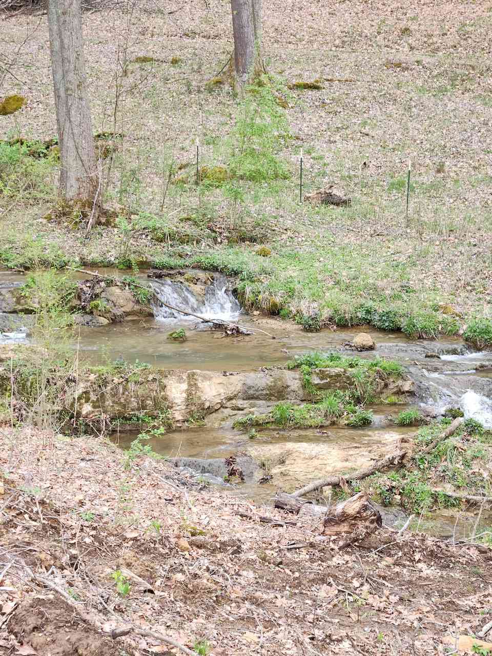 Cabin on the Creek