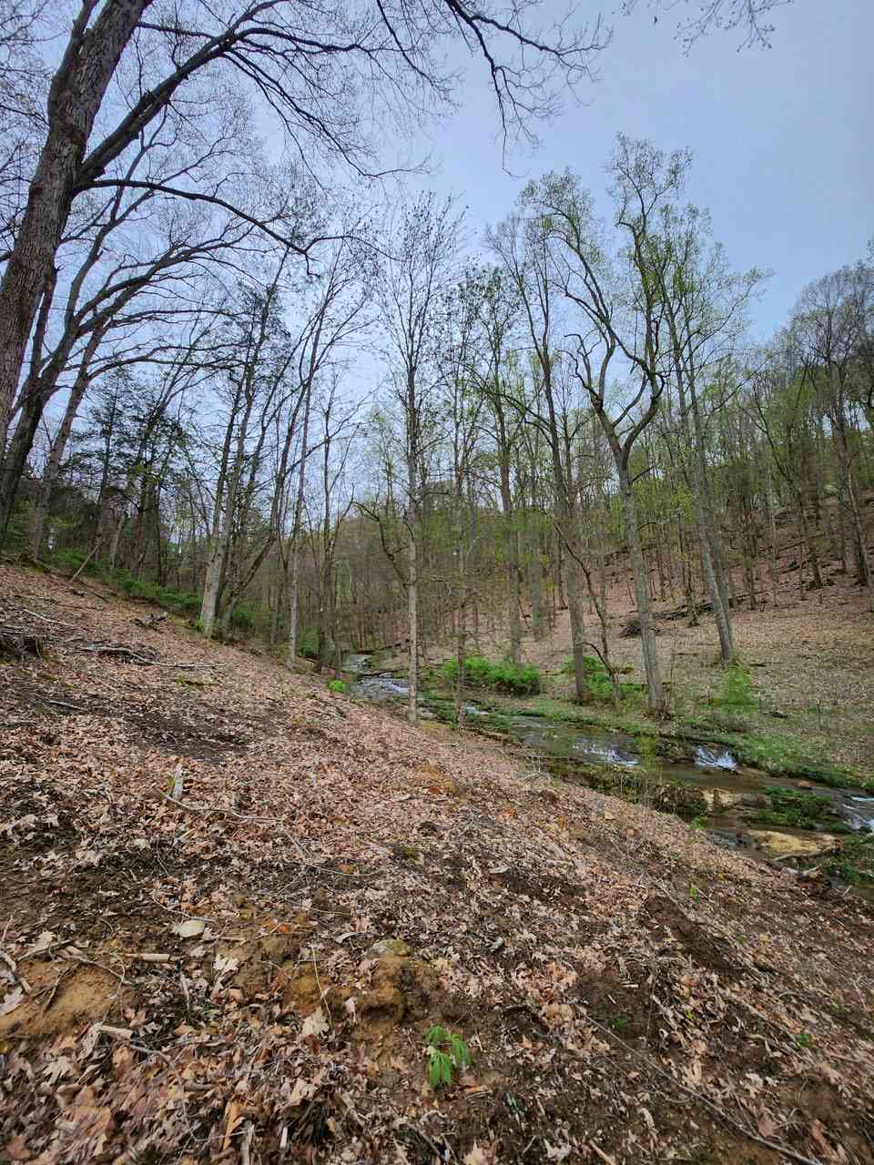 Cabin on the Creek