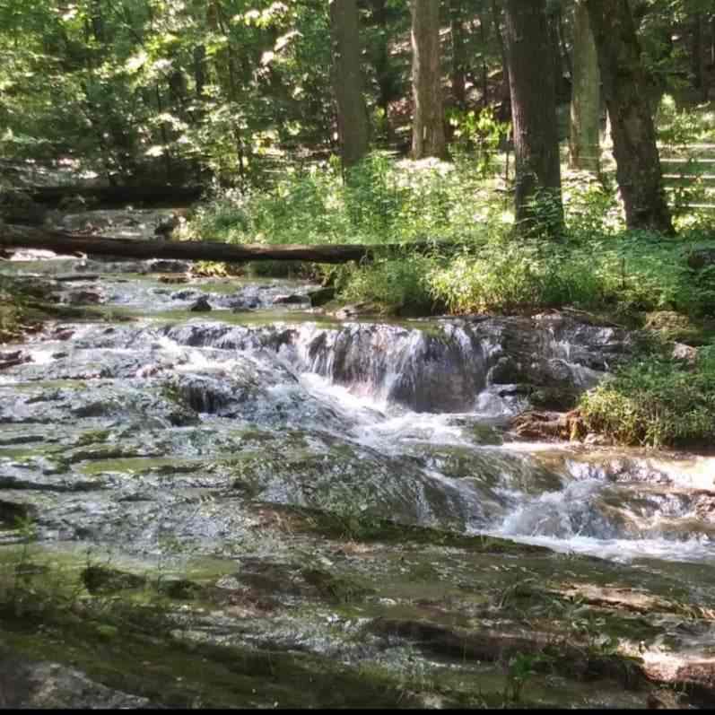 Cabin on the Creek