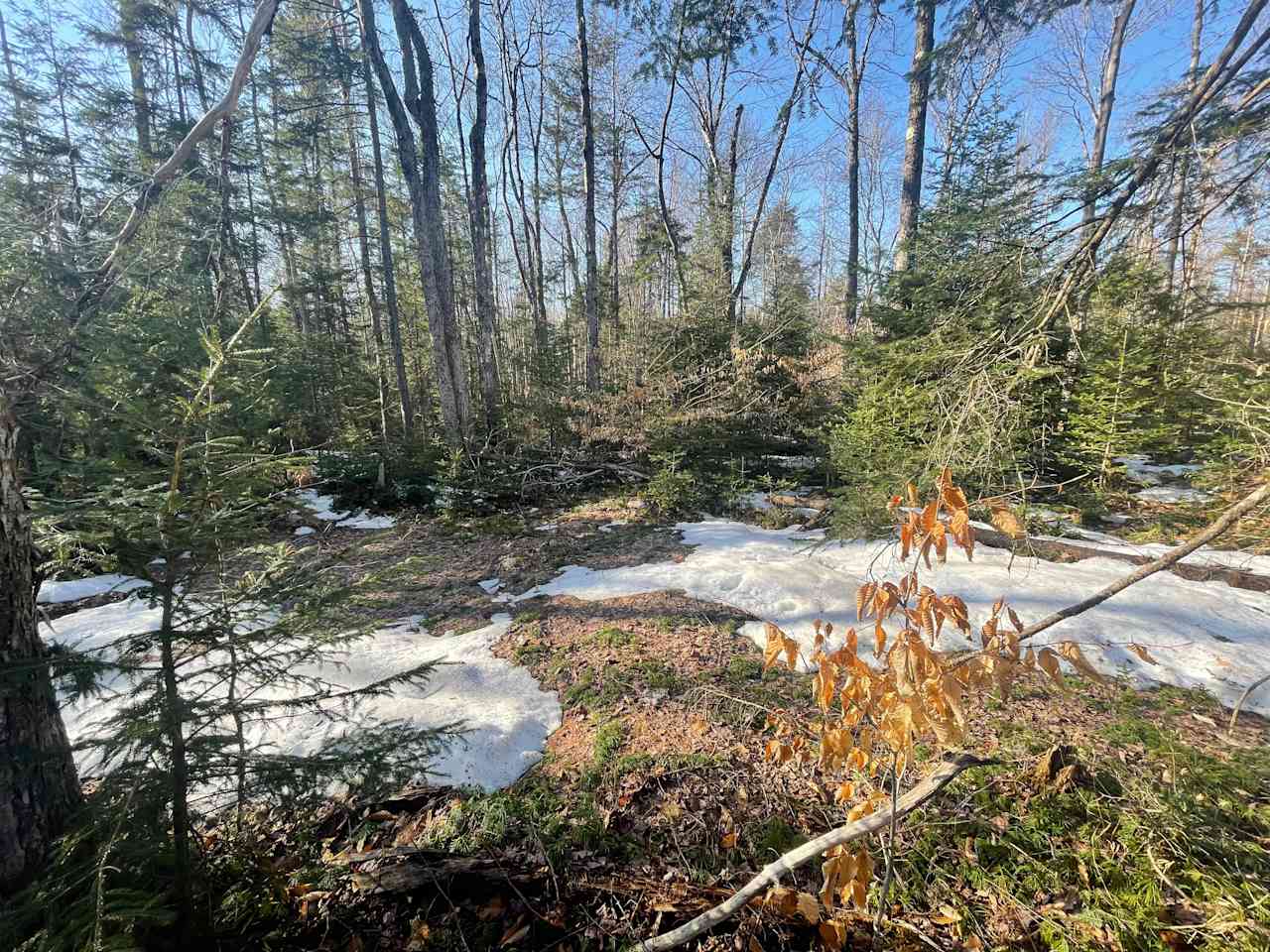 Fire pit and picnic table and tiki torches when the snow melts 