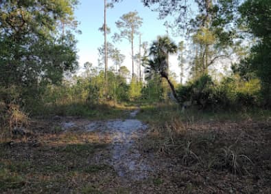 Nature retreat in Horse Country