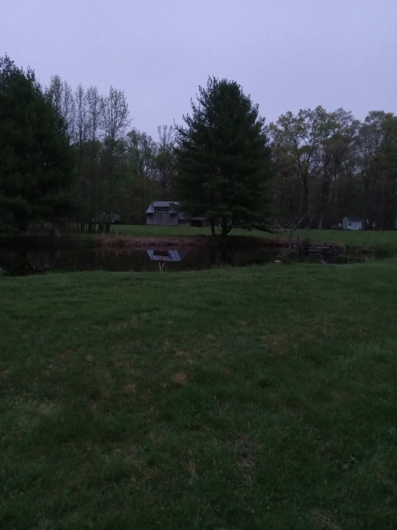 Field and pond