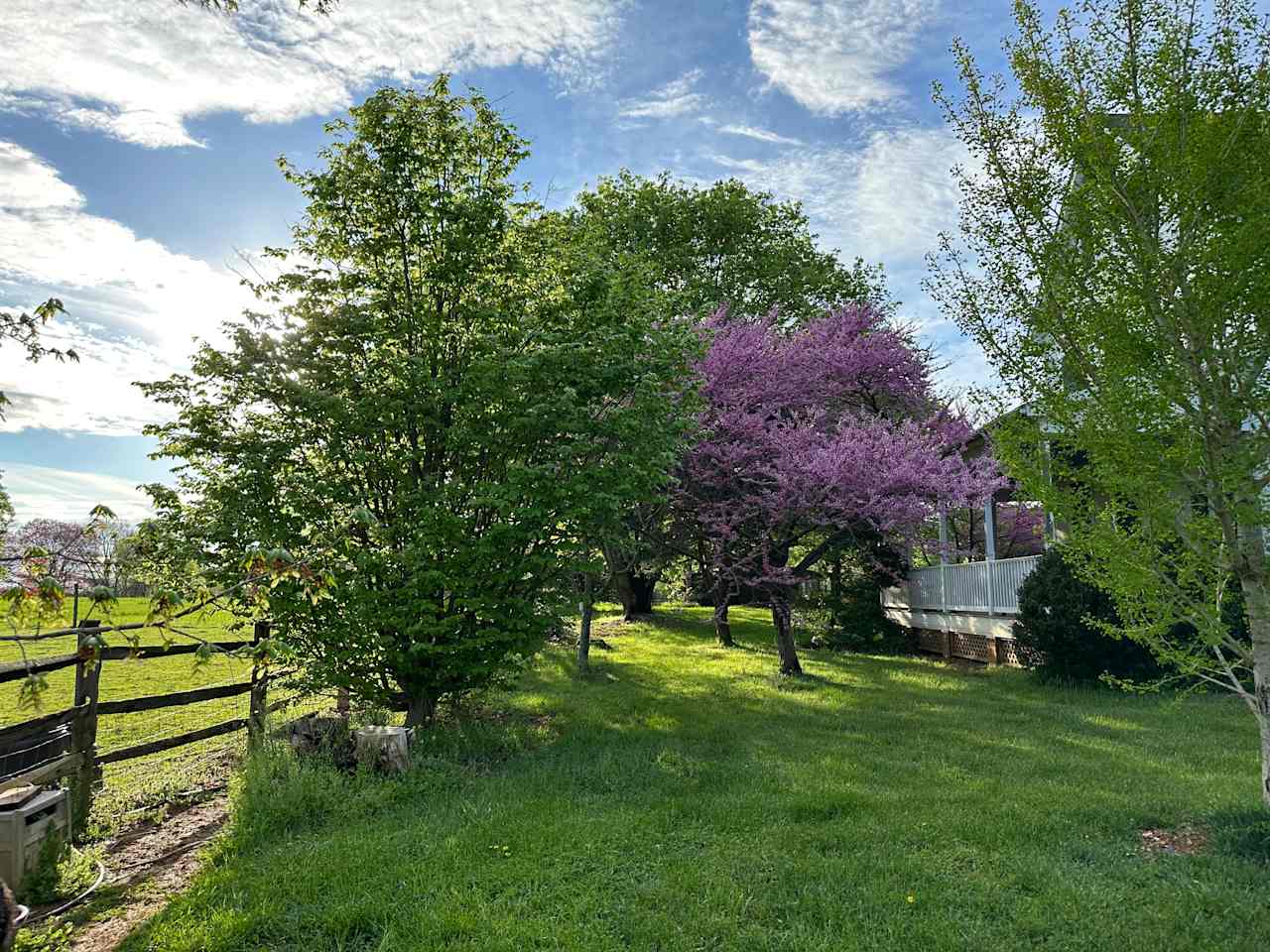 Maple Grove Farm