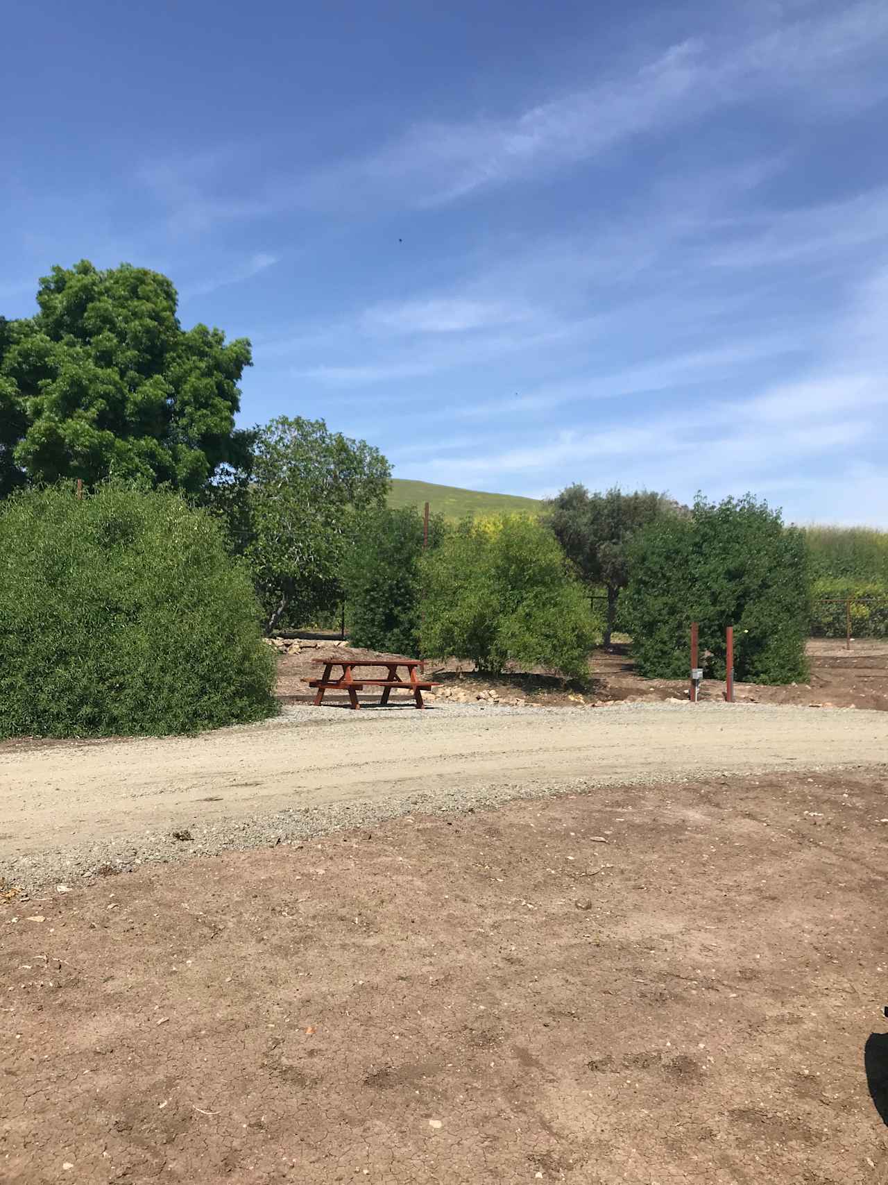 Lucky Dog Ranch with Pickleball