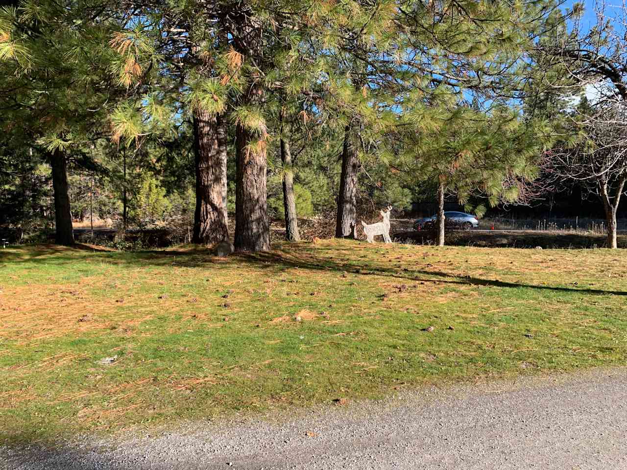 Trailer Lane Campground