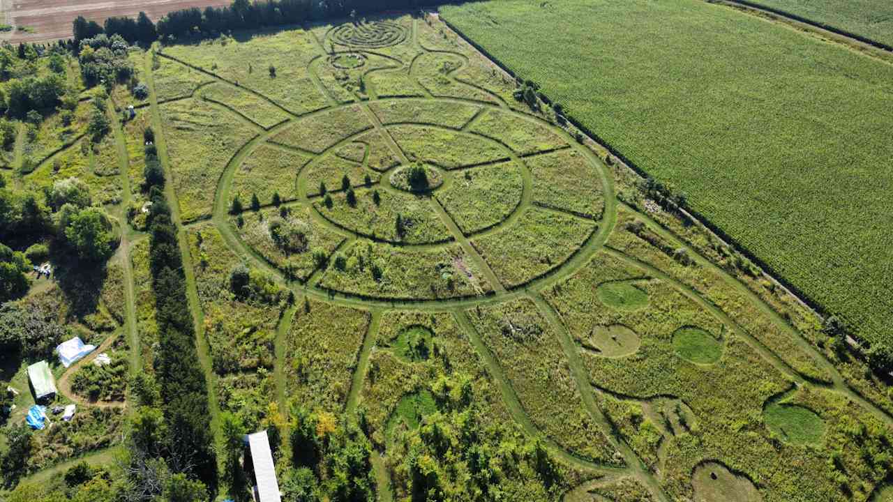 Wilde on Turtle Island Sanctuary