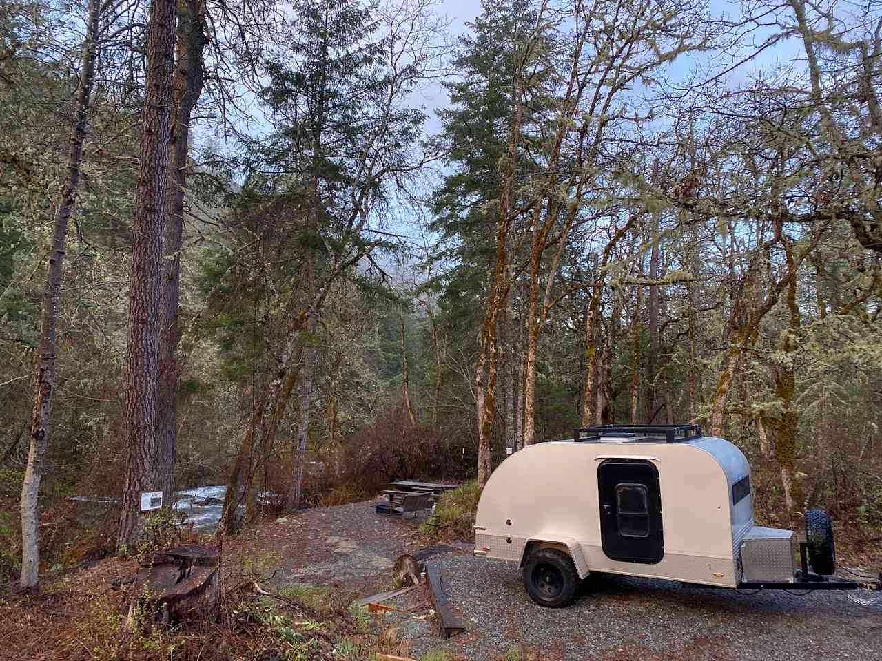 Forested creekside campsite