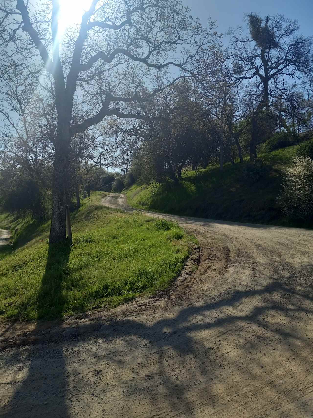 Hidden hill Camp