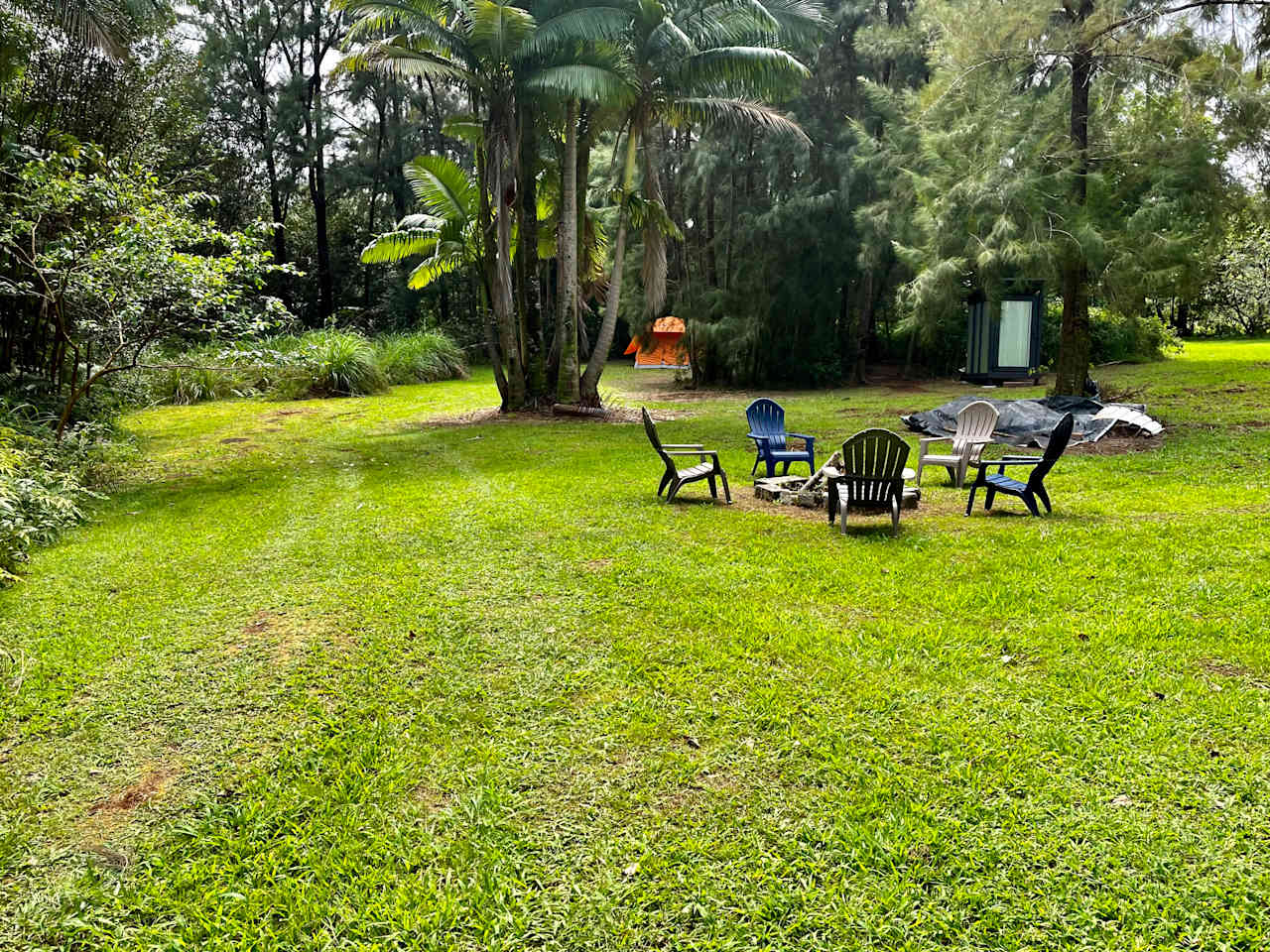 Hakalau Springs Campground